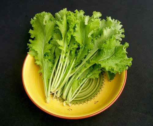 #13 Heirloom Vegetable Seeds 6 Variety Garden Set Emergency Survival NON-GMO WOW - Picture 10 of 12