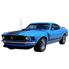 Complete Stripe Decal Black Kit Mustang Boss 302 1970...