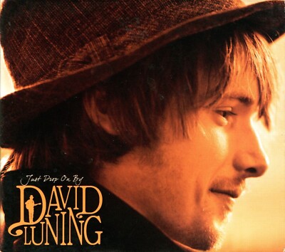 Just Drop on By by David Luning (CD, 2012) ***VERY GOOD***
