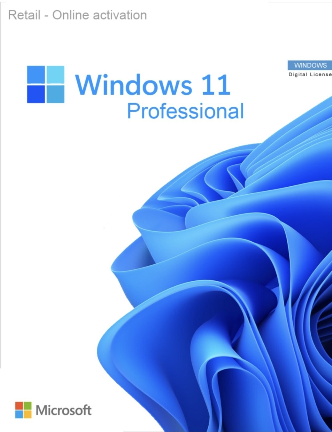 Windows 11 Professional CD Key (Digital Download) eBay