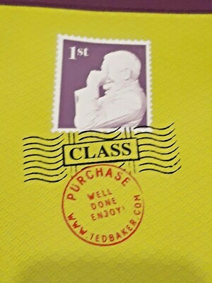 ted baker carrier bag