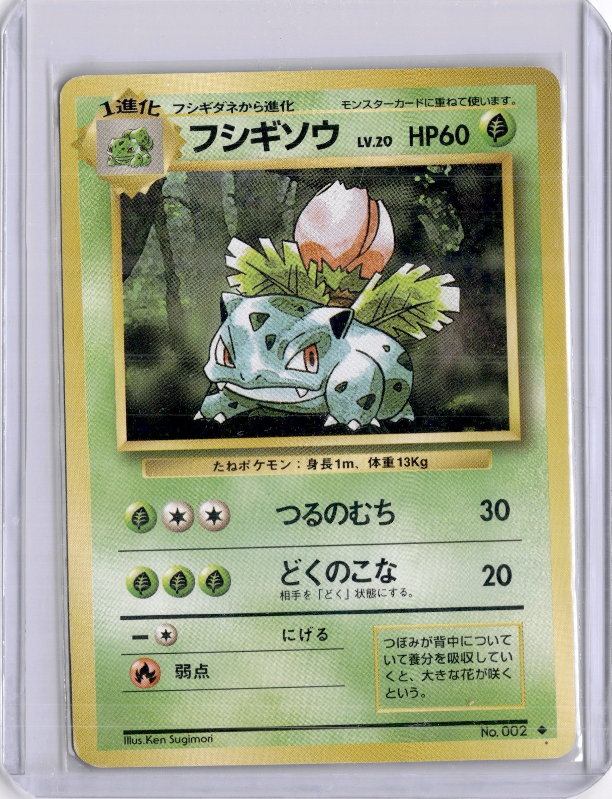 Ivysaur Vintage Japanese Uncommon Expansion Pack LP