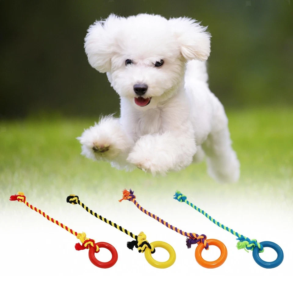Chien Corde Jouet Pelouse Agressif Mâcheurs Jouets À Mâcher Interactive - Photo 1/1