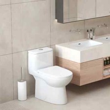 One Piece Toilet ADA 17'' Seat Height Elongated Dual Flush 1.1/1.6GPF White