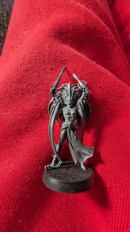 Warhammer Age of Sigmar Daughters of Khaine Slaughter Queen Hag Queen Miniatures