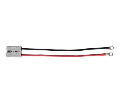 Talamex Elektromotor Anschluss-Set Augterminal 85804026