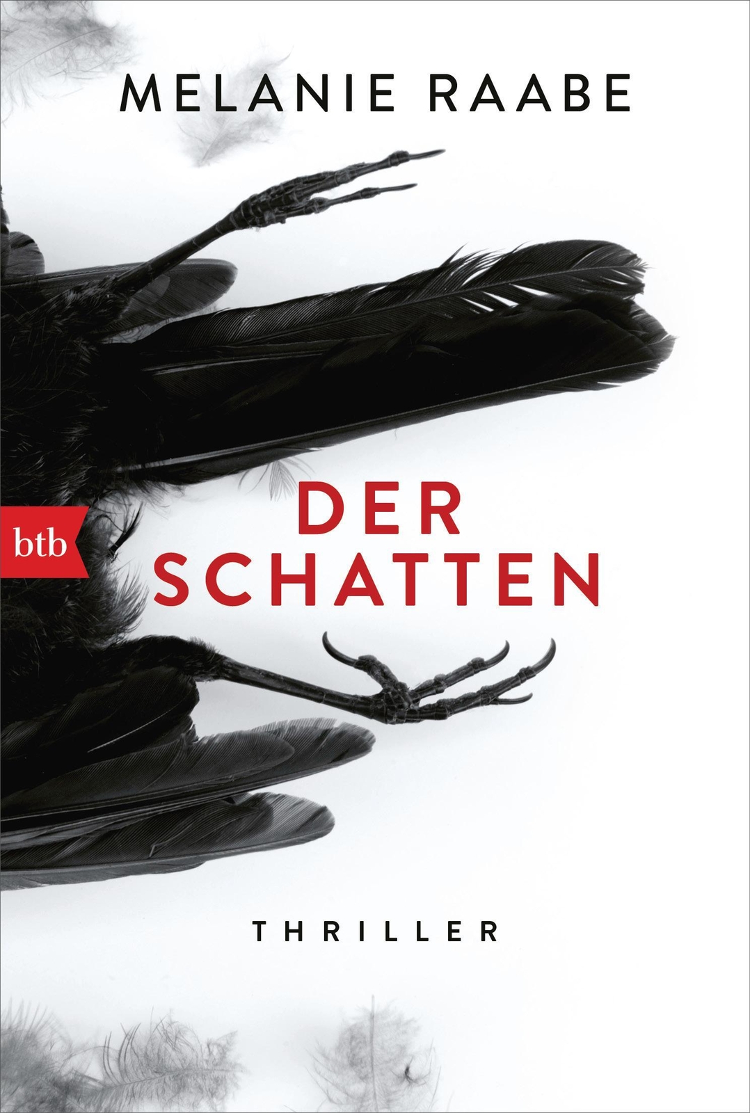 Thumbnail - Der Schatten