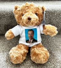 NIGEL FARAGE 8 inch TEDDY BEAR Reform Political Party MP Clacton Essex