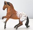 Cm Breyer Sm Albozoro Bay Appy Cm By Brie Cundiff