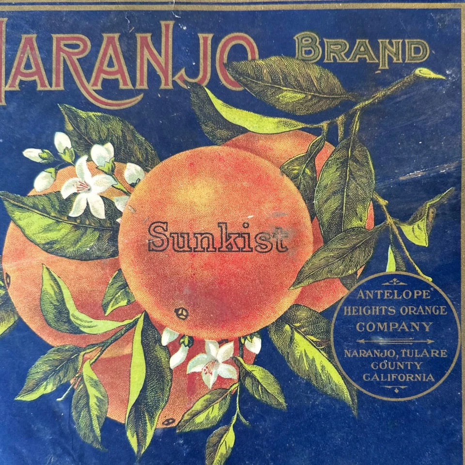 RARE Vintage Original 1920s NARANJO Antelope Heights CA ORANGE Crate Label Used - Image 2 of 2