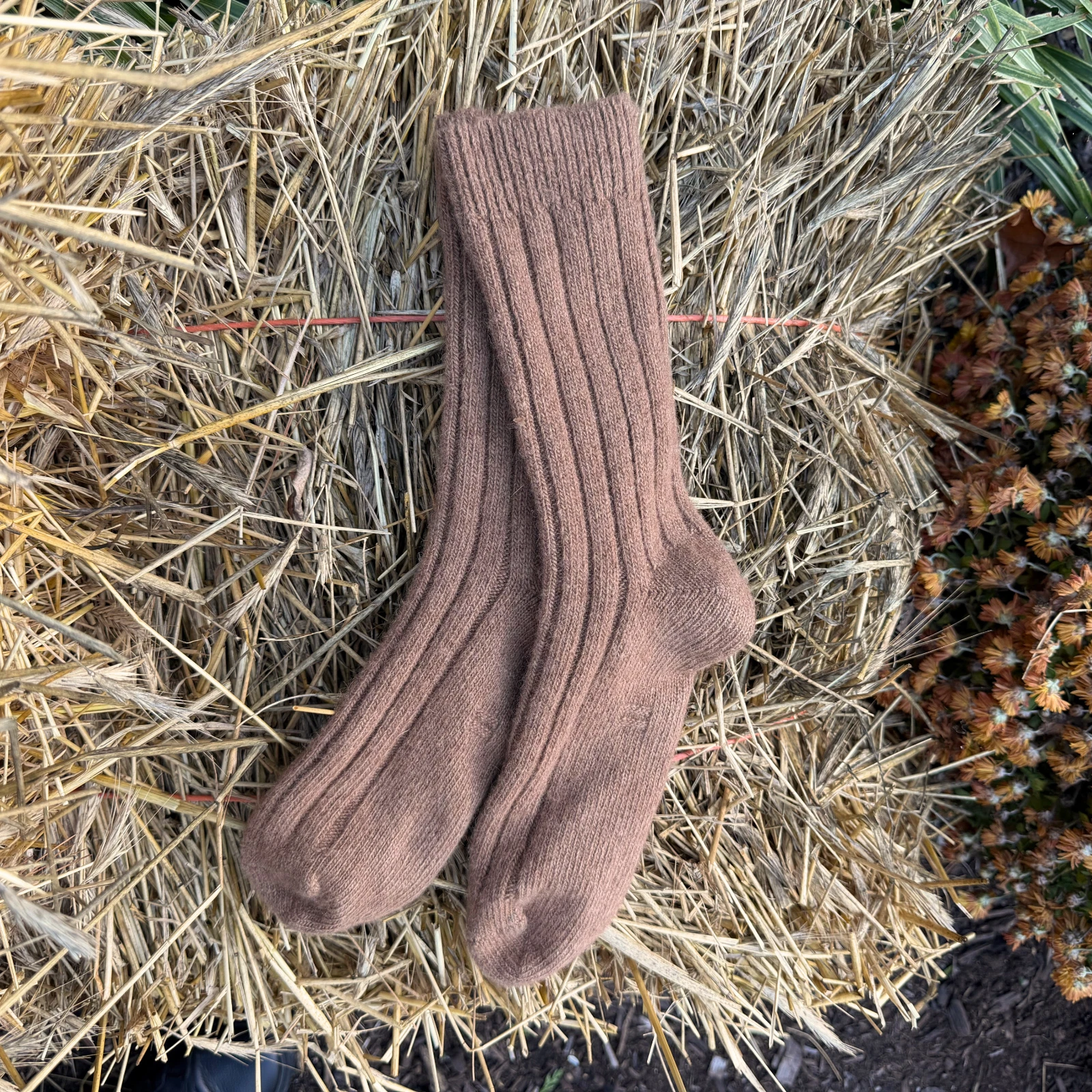 100% Camel Wool Socks XL Pure Classic Elegant Style. Made in Mongolia