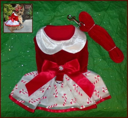 NWT Doggie Design Special Holiday Red White Candy Cane Harness Dress XS S M - Picture 2 of 9