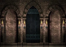 7x5ft Fabric Gothic Castle Photography Backdrop Ancient Stone Wall Arches Iron