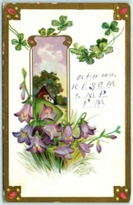 Postcard - Flower Print