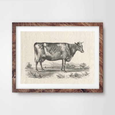 MILCHKUH FARM KUNSTDRUCK Landwirtschaft Poster Wohndeko Landschaft Wandbild