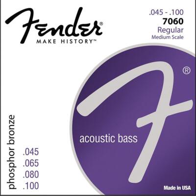 Fender 7060 Phosphor Bronze Regular Medium Acoustic Bass Guitar Strings 45-100