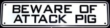 Beware Of Attack Pig Sign White With Black Lettering