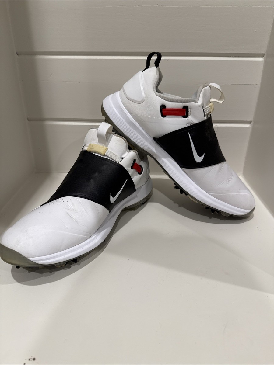 spike lee nike dunks