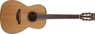 Takamine TP3 NY New Yorker Acoustic Electric Guitar W Pickup Natural TP3NY