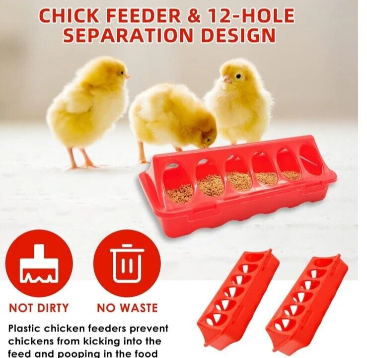 Gifank Chick Feeder & Water Kit Heater - Image 3 of 4