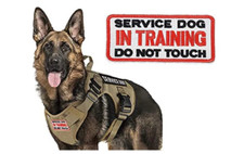 Service Dog in Training Do Not Touch Patch (4 Inch) Velkro (Hook/Loop) Pet Badge