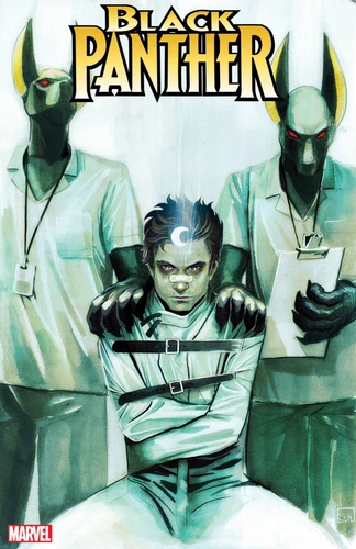 🔥 BLACK PANTHER #6 Hans Variant - Pre-Sale 11/15/2023 🔥