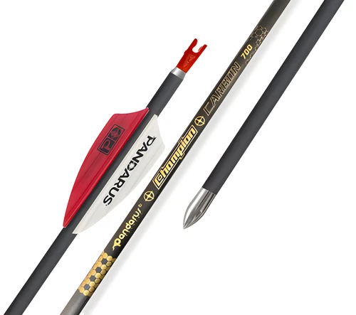 Pandarus CHAMPION Competitive Arrows, 12 pieces