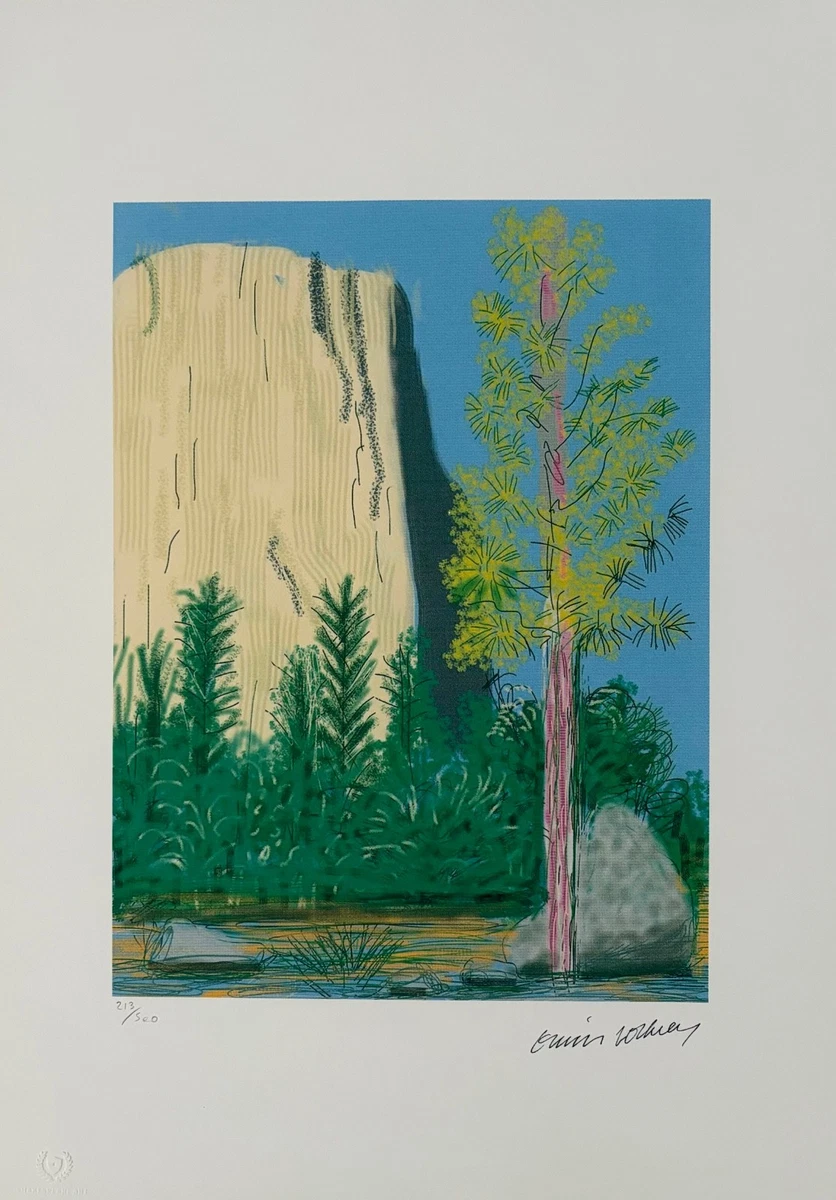 David Hockney Paper Licensed Reprint Art Prints for sale | eBay