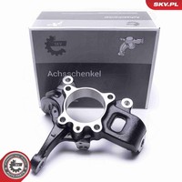 Esen Skv Achsschenkel RadaufhäNgung 47SKV741 FüR Mitsubishi L200 Triton Pajero 2