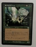 MTG JAPANESE TORMENT ARROGANT WURM NM MAGIC THE GATHERING UNCOMMON GREEN
