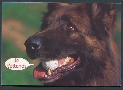 CPM DE CHIEN - HUMOR: JE T'ATTENDS - ED. COMPA CARTERIE