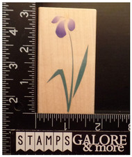 HERO ARTS RUBBER STAMPS F2438 ARTISTIC IRIS BOTANICAL GARDEN FLOWERS 2772