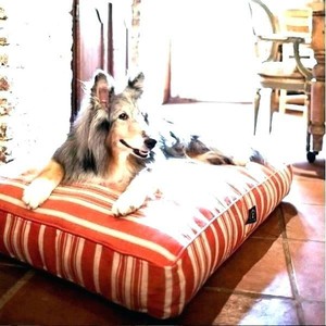 harry barker dog bed