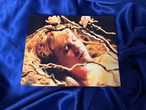 Offiziell lizenziertes Gabrielle (Renee O'Connor) 8x10 Foto von Xena - XE-RO 102