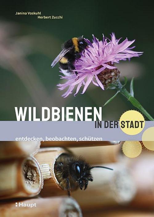 Thumbnail - Wildbienen In Der Stadt, Janina Voskuhl