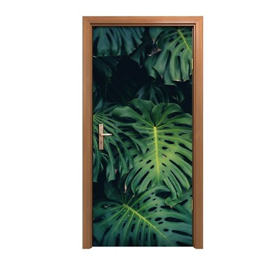 foto philodendron Philodendron – Liberty Landscape Supply main image 1