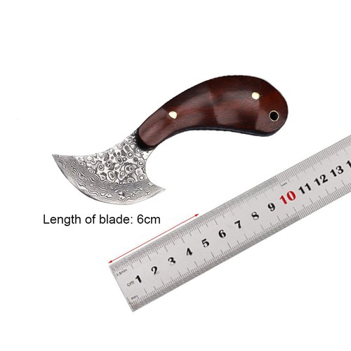 Small Damascus Round Head Knife Leather Craft Cutter Rosewood Handle EDC Tools - Picture 3 of 14