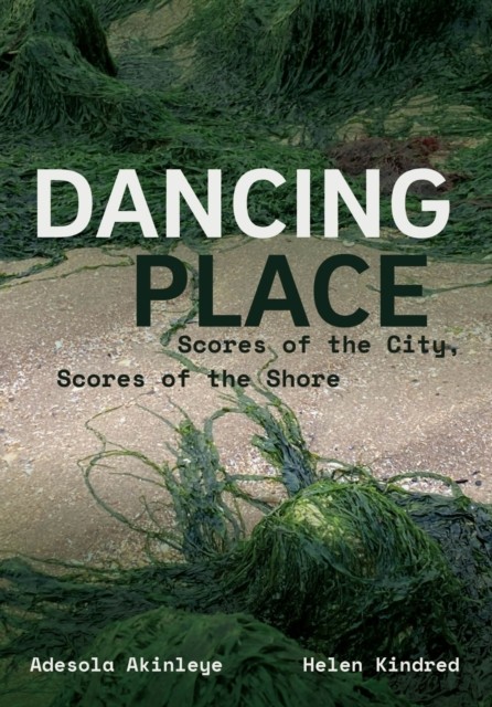 Dancing Place by Adesola Akinleye, Helen Kindred - 9781835951873 - Image 4