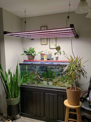 Photontek X600W Pro Full-Spectrum LED Grow Light (Used 2 Weeks, Too Large)
