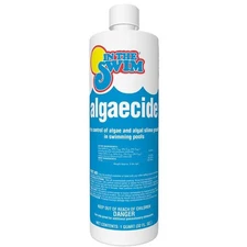 In The Swim Algaecide for Swimming Pools – Green and Yellow Algae Preventative –