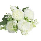 Foto 21 di 27