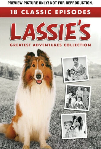 Lassie - The Complete First Season (1997 Remake Not 1950's original )  (Boxset)