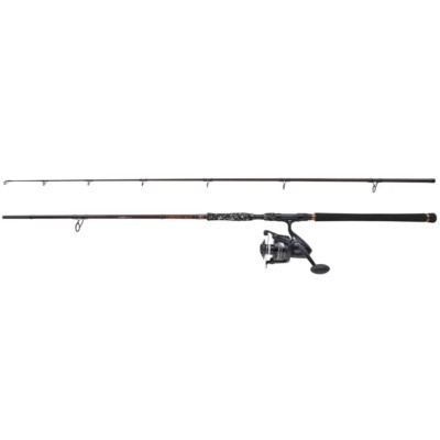 Daiwa Powermesh Catfish Boje 3,00m 150-500g Welsrute für Bodenseefischen