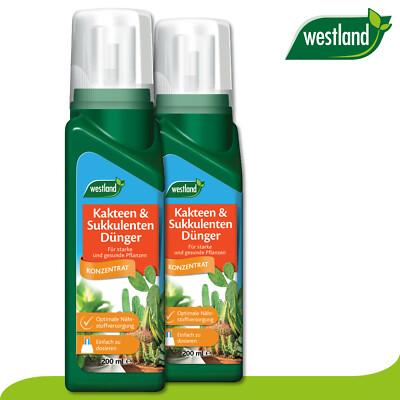 Westland 2x 200ml Kakteen / Sukkulenten Dnger Fettpflanzen Aloe Vera  Nhrstoffe | eBay