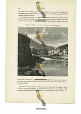 Defile Of The Tajo, Guadalajara, Spain, Book Illustration (Print), 1880