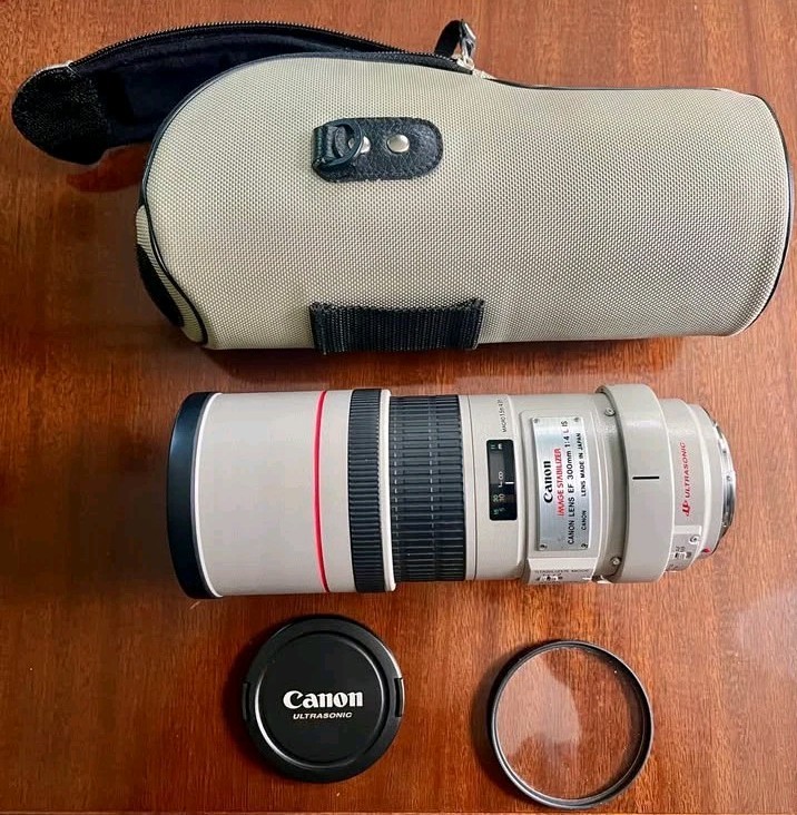 Canon EF 300mm 1:4 L ウルトラソニック Canon EF 300mm f/4 L IS USM Lens for sale online | eBay