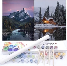 BAISITE Paint by Numbers Kit for Adults Beginners,12" Wx16 L 2 Pack Canvas for P