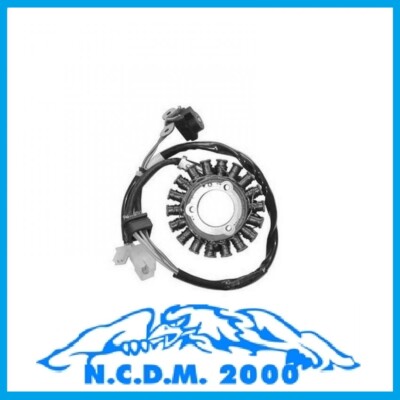 STATORE ACCENSIONE VOLANO MAGNETE KYMCO GRAND DINK 250 2001-2002