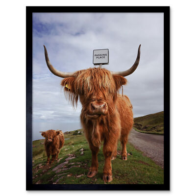 Gerahmter Wandkunstdruck Highland Kuh Apfelkreuz schottische Tierfotografie 9 x 7 Zoll