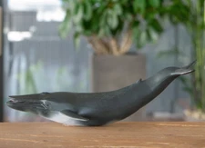 Blue Whale Marine Wildlife Nature Toy